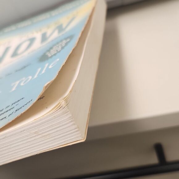 The Power of Now by Eckhart Tolle Paperback - Picture 6 of 6